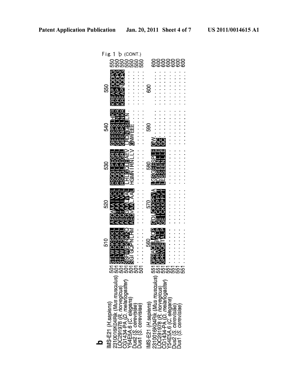 METHOD FOR DIAGNOSING NON-SMALL CELL LUNG CANCERS BY tRNA-DIHYDROURIDINE SYNTHASE ACTIVITY OF URLC8 - diagram, schematic, and image 05