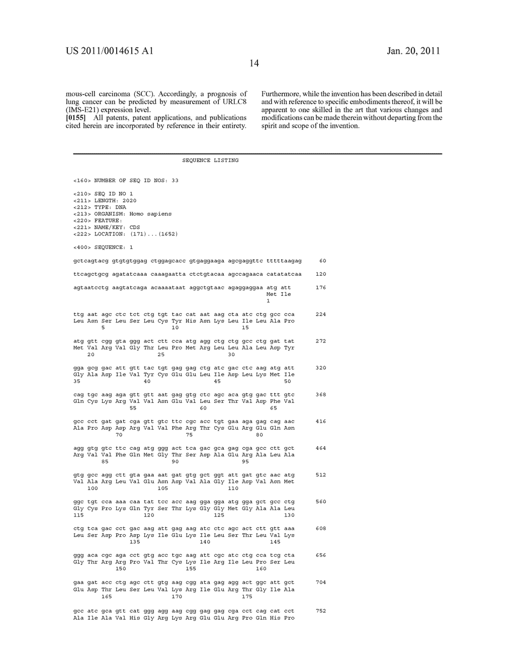 METHOD FOR DIAGNOSING NON-SMALL CELL LUNG CANCERS BY tRNA-DIHYDROURIDINE SYNTHASE ACTIVITY OF URLC8 - diagram, schematic, and image 22