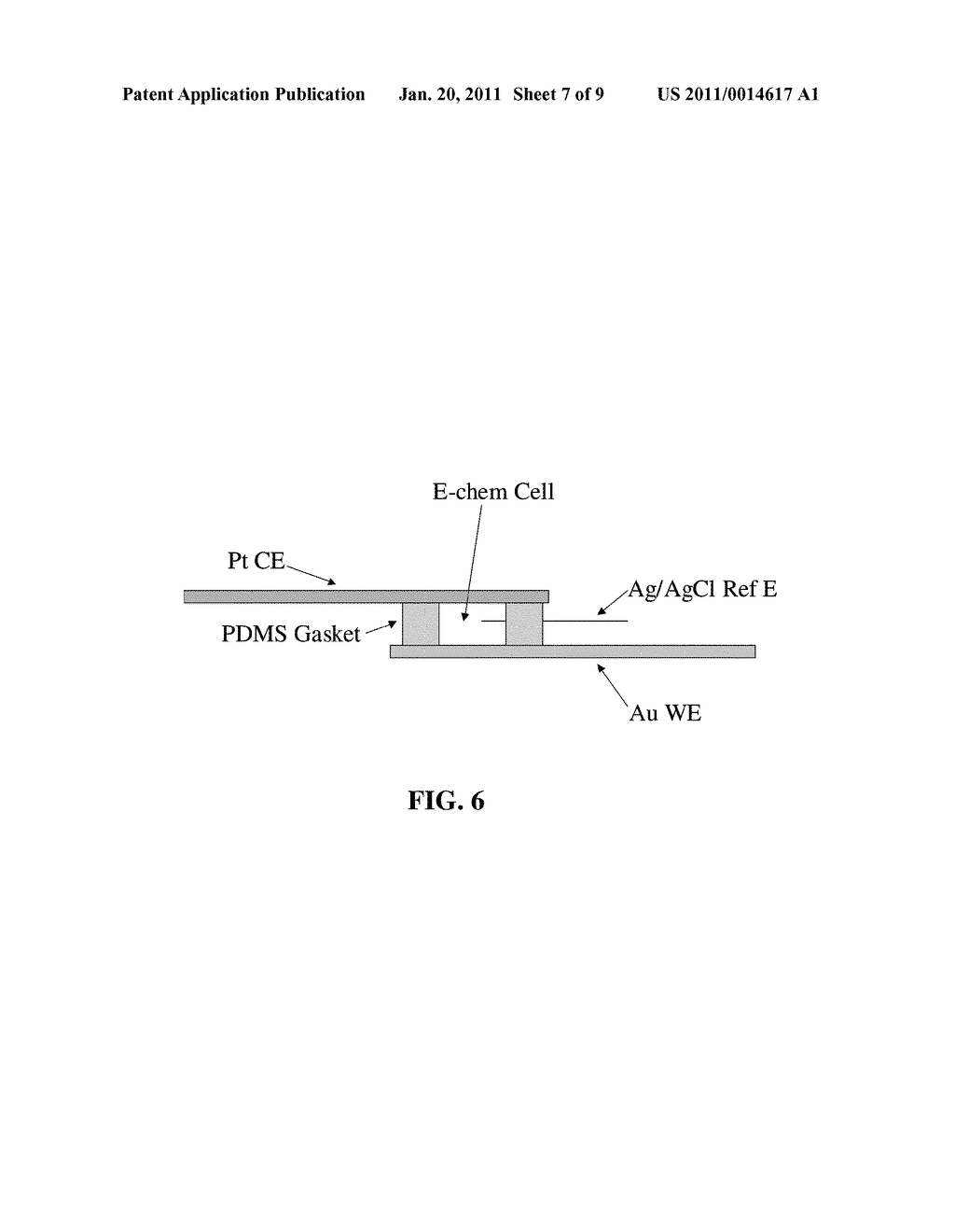 Methods and Systems for Detecting Nucleic Acids - diagram, schematic, and image 08