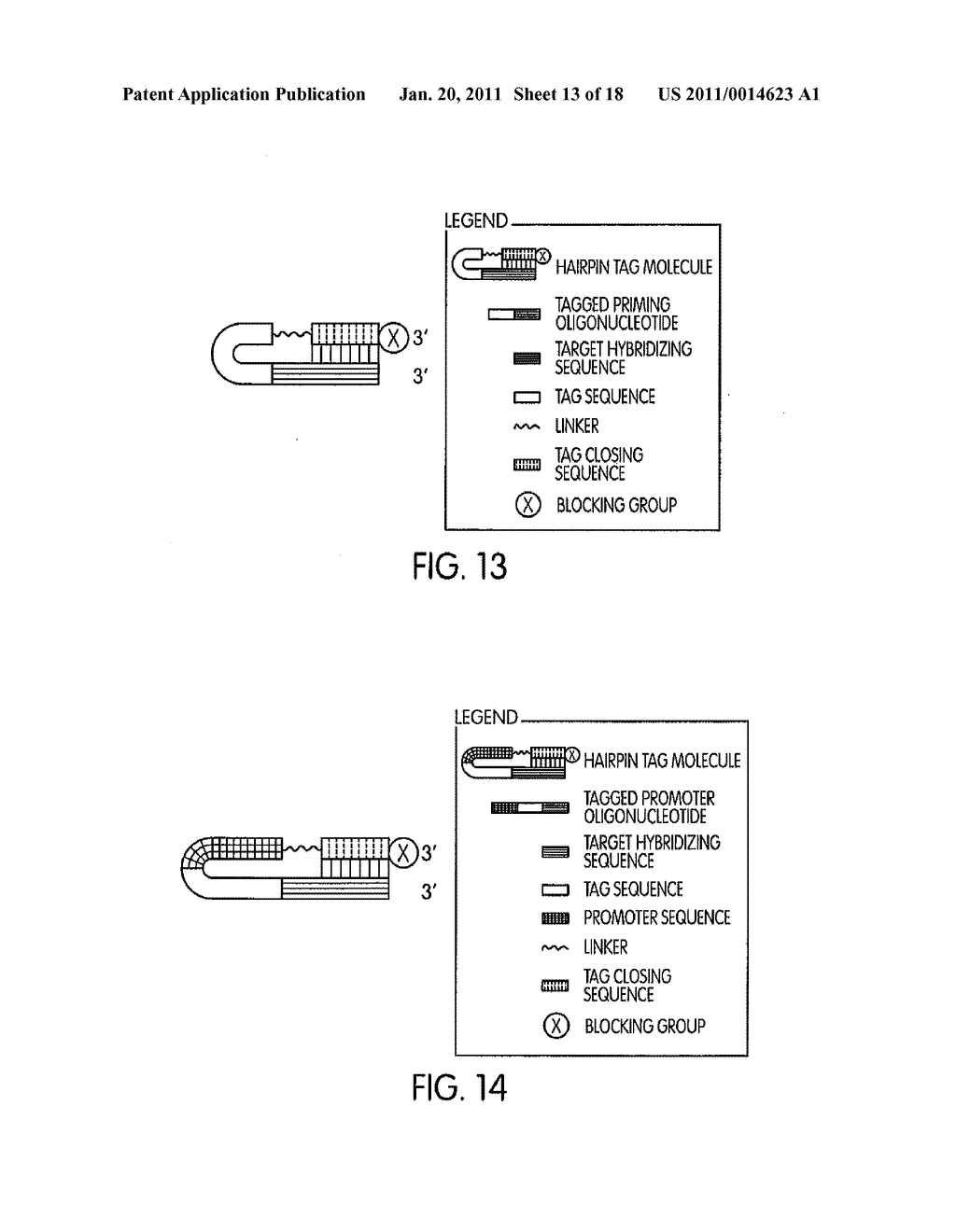 TAGGED OLIGONUCLEOTIDES AND THEIR USE IN NUCLEIC ACID AMPLIFICATION METHODS - diagram, schematic, and image 14