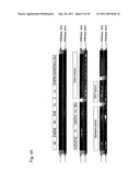 Identification of Surface-Associated Antigens for Tumor Diagnosis and Therapy diagram and image