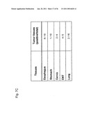 Identification of Surface-Associated Antigens for Tumor Diagnosis and Therapy diagram and image