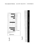 Identification of Surface-Associated Antigens for Tumor Diagnosis and Therapy diagram and image