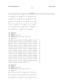 NUCLEIC ACIDS ENCODING T2R, A NOVEL FAMILY OF TASTE RECEPTORS diagram and image