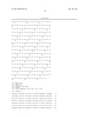 NUCLEIC ACIDS ENCODING T2R, A NOVEL FAMILY OF TASTE RECEPTORS diagram and image