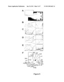 METHOD OF SCREENING FOR COMPOUNDS THAT CAN BE USED FOR THE TREATMENT OF RESPIRATORY CONDITIONS diagram and image