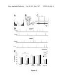 METHOD OF SCREENING FOR COMPOUNDS THAT CAN BE USED FOR THE TREATMENT OF RESPIRATORY CONDITIONS diagram and image