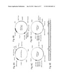 IN VIVO UNNATURAL AMINO ACID EXPRESSION IN THE METHYLOTROPHIC YEAST PICHIA PASTORIS diagram and image