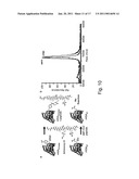 IN VIVO UNNATURAL AMINO ACID EXPRESSION IN THE METHYLOTROPHIC YEAST PICHIA PASTORIS diagram and image