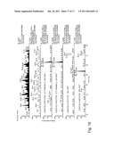 IN VIVO UNNATURAL AMINO ACID EXPRESSION IN THE METHYLOTROPHIC YEAST PICHIA PASTORIS diagram and image