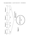 Norovirus and sapovirus antigens diagram and image