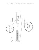 Norovirus and sapovirus antigens diagram and image