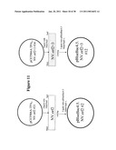 Norovirus and sapovirus antigens diagram and image