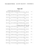 Norovirus and sapovirus antigens diagram and image