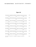 Norovirus and sapovirus antigens diagram and image