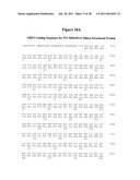 Norovirus and sapovirus antigens diagram and image