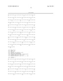 Norovirus and sapovirus antigens diagram and image