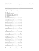 Norovirus and sapovirus antigens diagram and image