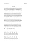 THERMOSTABLE DNA POLYMERASE FROM PALAEOCOCCUS FERROPHILUS diagram and image