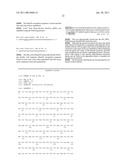 THERMOSTABLE DNA POLYMERASE FROM PALAEOCOCCUS FERROPHILUS diagram and image