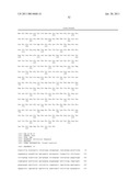 THERMOSTABLE DNA POLYMERASE FROM PALAEOCOCCUS FERROPHILUS diagram and image