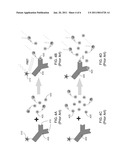 METHOD FOR HOMOGENEOUS BIOLOGICAL ASSAY diagram and image