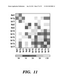 Solution-based methods for RNA expression profiling diagram and image