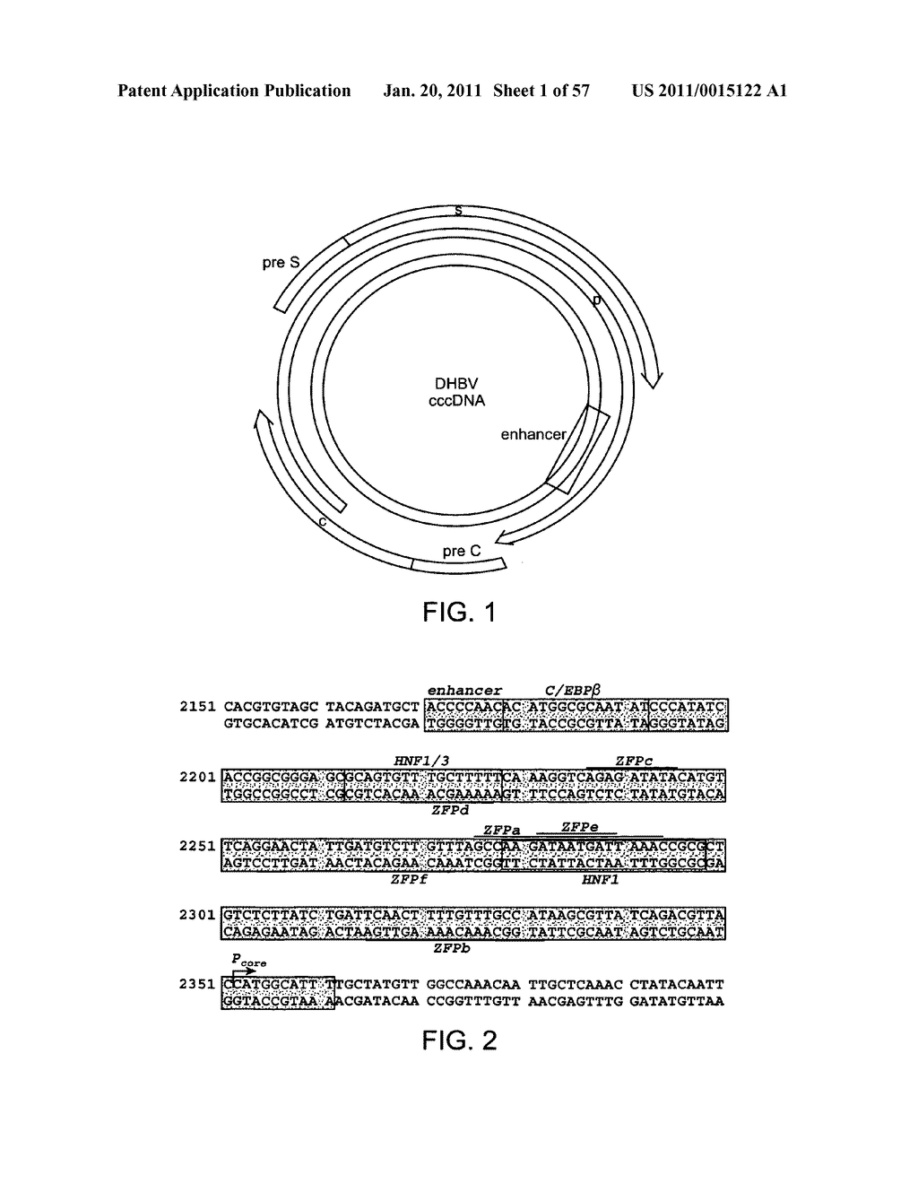 HEPATITIS B VIRUS-BINDING POLYPEPTIDES AND METHODS OF USE THEREOF - diagram, schematic, and image 02
