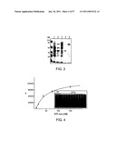 HEPATITIS B VIRUS-BINDING POLYPEPTIDES AND METHODS OF USE THEREOF diagram and image