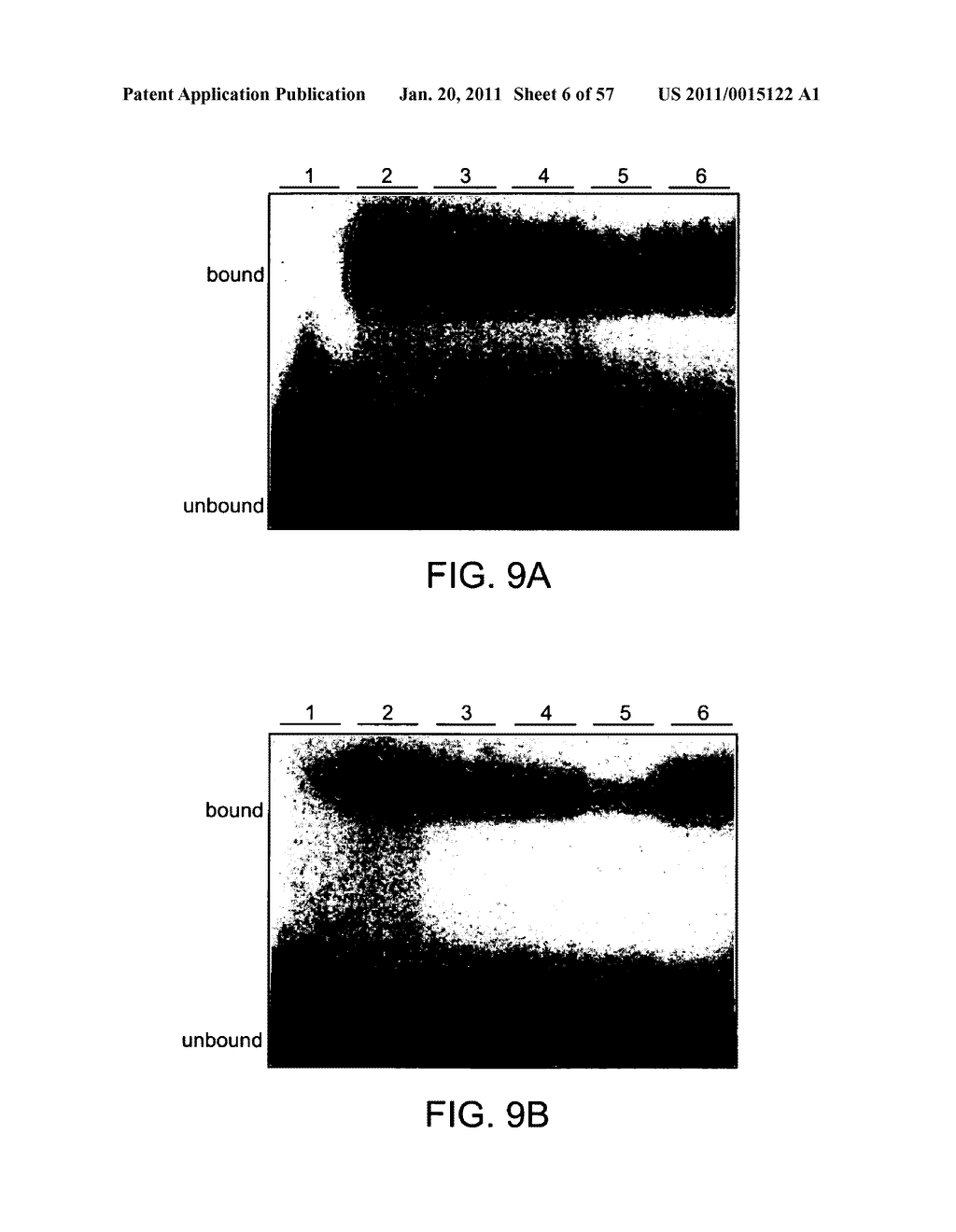 HEPATITIS B VIRUS-BINDING POLYPEPTIDES AND METHODS OF USE THEREOF - diagram, schematic, and image 07