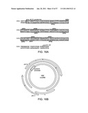 HEPATITIS B VIRUS-BINDING POLYPEPTIDES AND METHODS OF USE THEREOF diagram and image