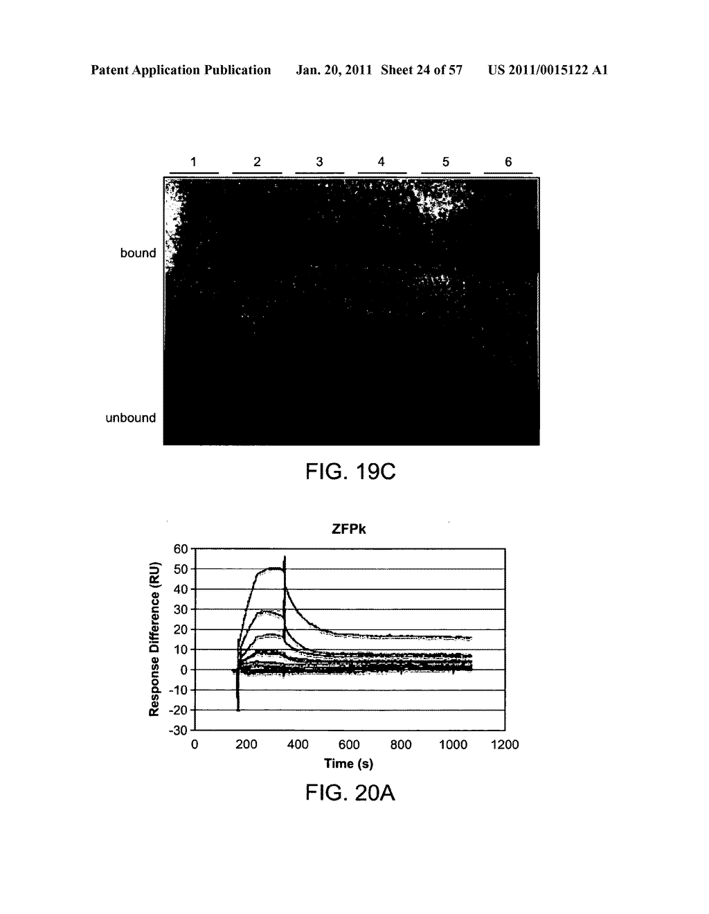 HEPATITIS B VIRUS-BINDING POLYPEPTIDES AND METHODS OF USE THEREOF - diagram, schematic, and image 25