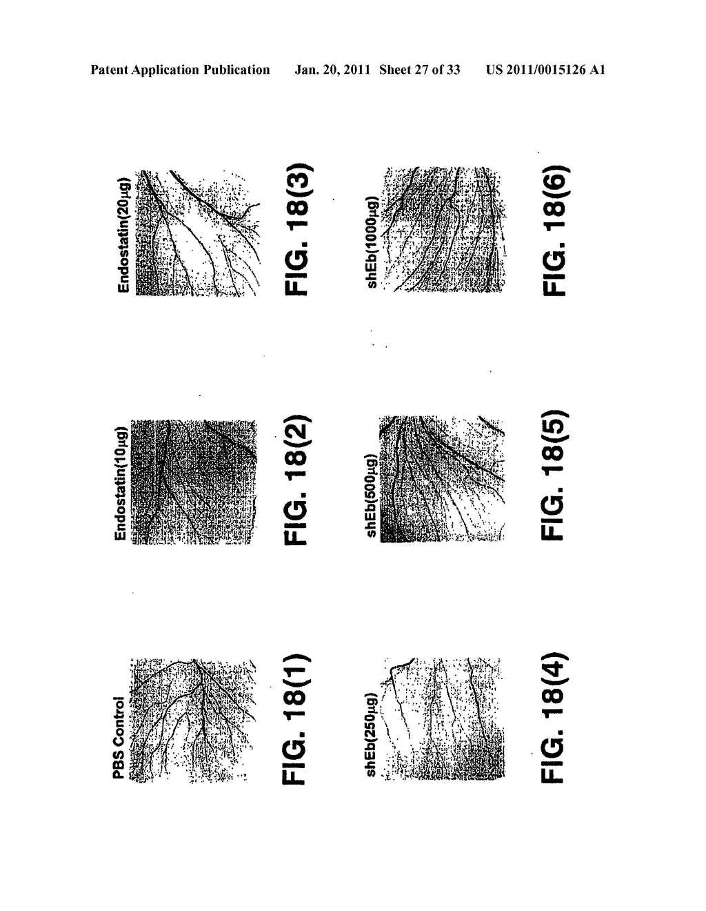 Compositions and Methods For Inducing Apoptosis In Tumor Cells - diagram, schematic, and image 28