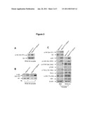 METHODS FOR IN VITRO MATURATION OF OVARIAN FOLLICLES diagram and image