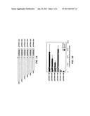 Hypoxia Inducible VEGF Plasmid for Ischemic Disease diagram and image