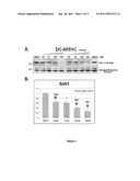 Sirtuin 1 and the Treatment of Neurodegenerative Diseases diagram and image