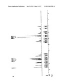 Synthesis of N-FMOC protected deoxy nucleosides, ribo nucleosides, modified deoxy and ribo nucleosides, and phosphoramidites, and their use in oligonucleotide synthesis diagram and image