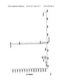 Synthesis of N-FMOC protected deoxy nucleosides, ribo nucleosides, modified deoxy and ribo nucleosides, and phosphoramidites, and their use in oligonucleotide synthesis diagram and image