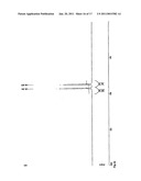 Synthesis of N-FMOC protected deoxy nucleosides, ribo nucleosides, modified deoxy and ribo nucleosides, and phosphoramidites, and their use in oligonucleotide synthesis diagram and image