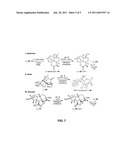 Selective Aliphatic C-H Oxidation diagram and image