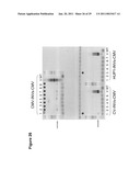 Production of Oil in Microorganisms diagram and image