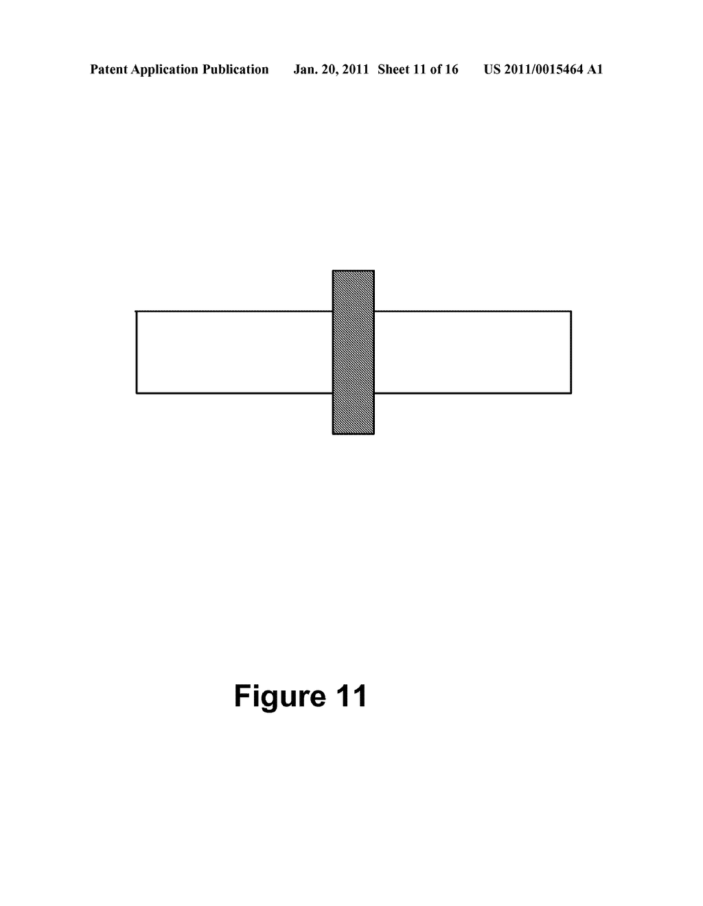 MAGNETIC CORE FOR MEDICAL PROCEDURES - diagram, schematic, and image 12