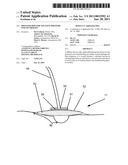 DIFFUSER DISK FOR NEGATIVE PRESSURE WOUND THERAPY diagram and image