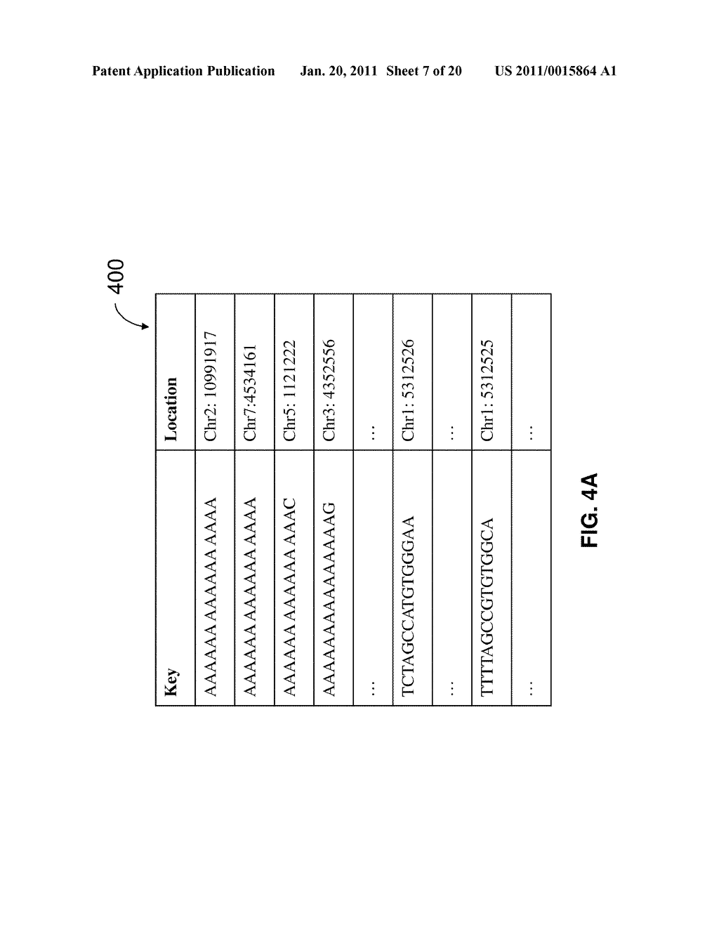 OLIGOMER SEQUENCES MAPPING - diagram, schematic, and image 08