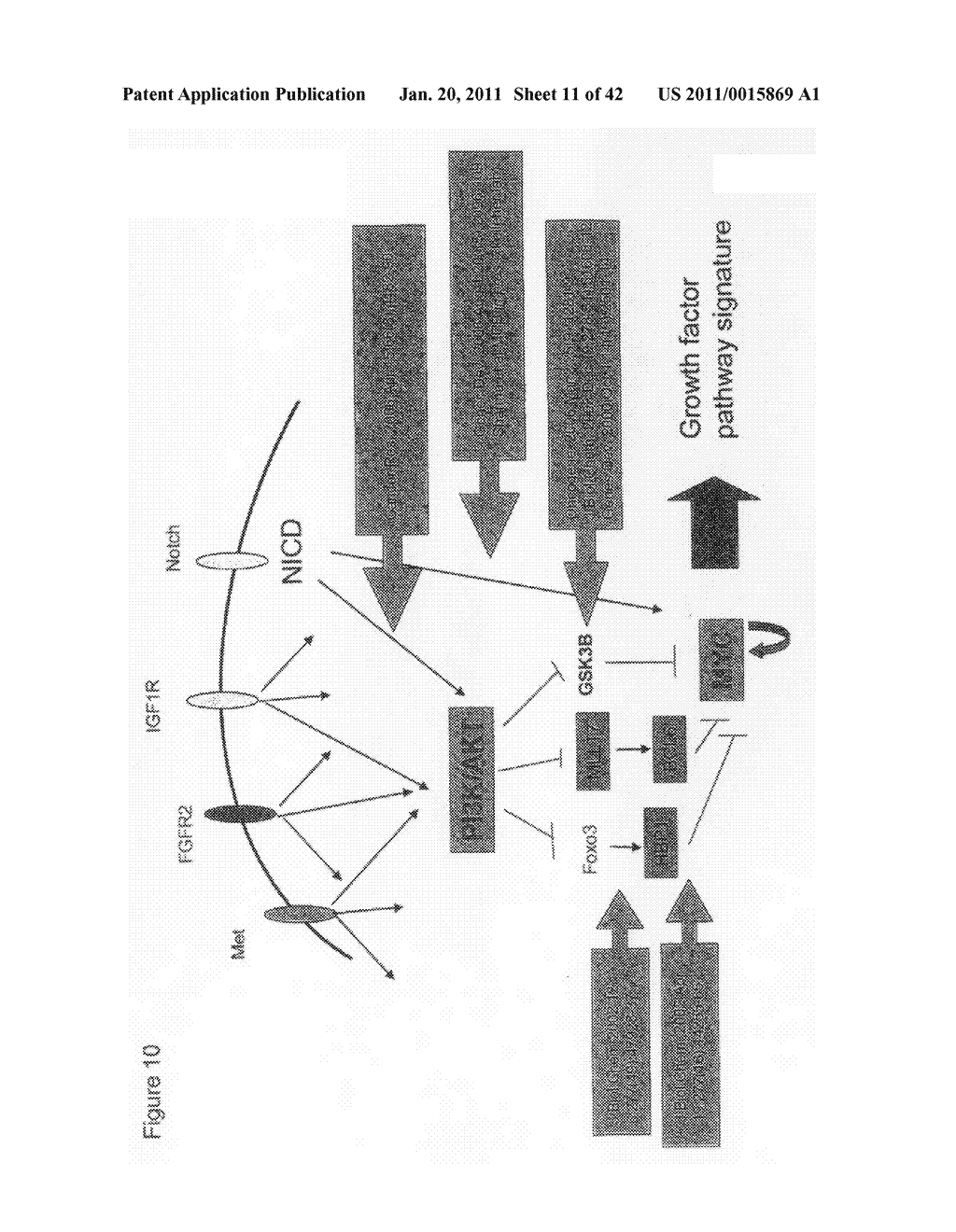 METHODS AND GENE EXPRESSION SIGNATURE FOR ASSESSING GROWTH FACTOR SIGNALING PATHWAY REGULATION STATUS - diagram, schematic, and image 12