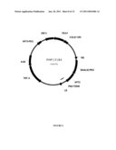 USE OF VIRUS-INDUCED GENE SILENCING (VIGS) TO DOWN-REGULATE GENES IN PLANTS diagram and image