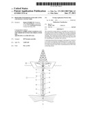 RISER PIPE WITH RIGID AUXILIARY LINES AND OFFSET CONNECTORS diagram and image