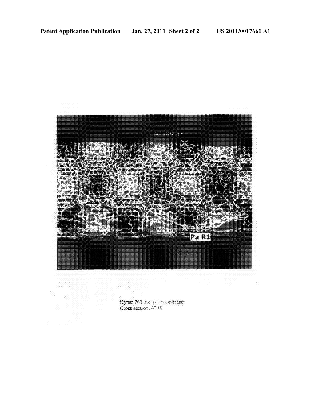 CAUSTIC RESISTANT MEMBRANE - diagram, schematic, and image 03