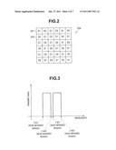 FLUORESCENCE OBSERVATION APPARATUS diagram and image