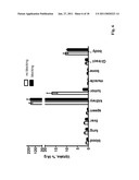 POLYPEPTIDES HAVING AFFINITY FOR HER2 diagram and image